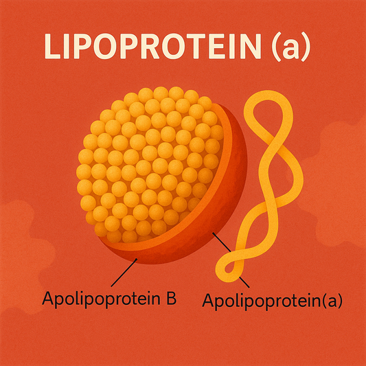 Lipoproteína(a): el colesterol oculto que aumenta el riesgo cardiovascular