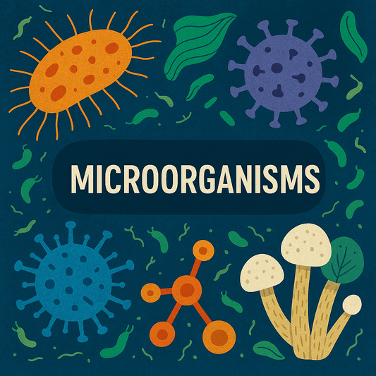 Microorganismos: los héroes y villanos invisibles del mundo