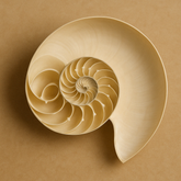 ¿Qué es la espiral de Fibonacci?
